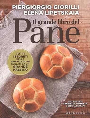 Il Pane con Lievito Madre: Guida Completa alla Panificazione Naturale