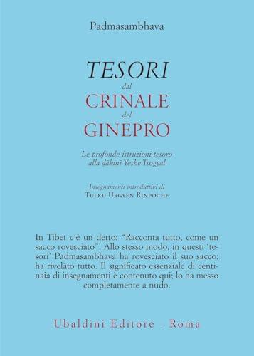 Tesori dal crinale del ginepro. Le profonde istruzioni-tesoro alla dākinī Yeshe Tsogyal