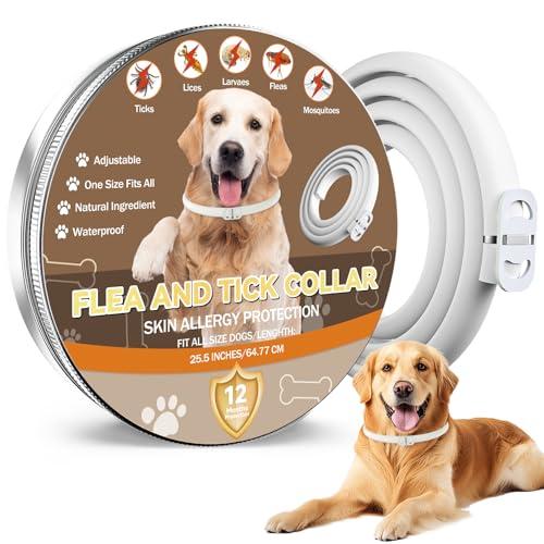 Collare Antiparassitario Naturale per Cani - Protezione Completa 12 Mesi