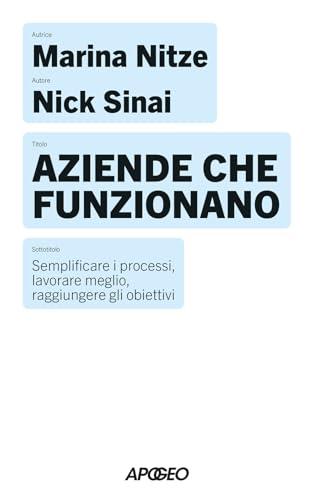 Aziende che funzionano. Semplificare i processi, lavorare meglio, raggiungere gli obiettivi