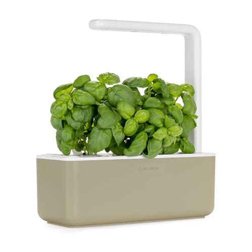 Click & Grow - Cialde Smart Garden per Issopo (3 pz)