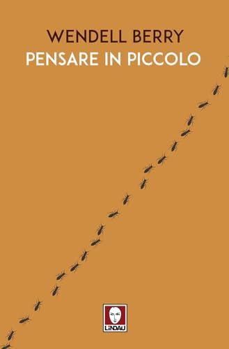 Pensare in piccolo