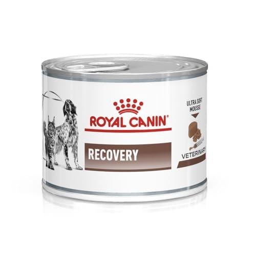 Royal Canin Veterinary Recovery Mousse per Cani e Gatti - 12 x 195g