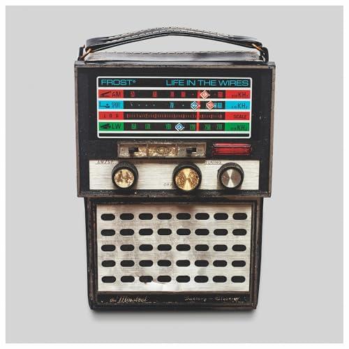 Life In The Wires [2 CD]