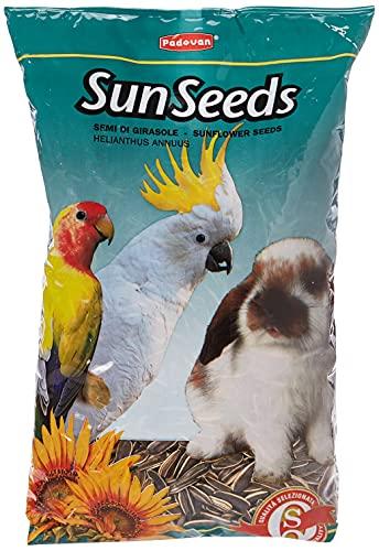 Padovan Semi di Girasole Medio - Mangime Semplice per Uccelli