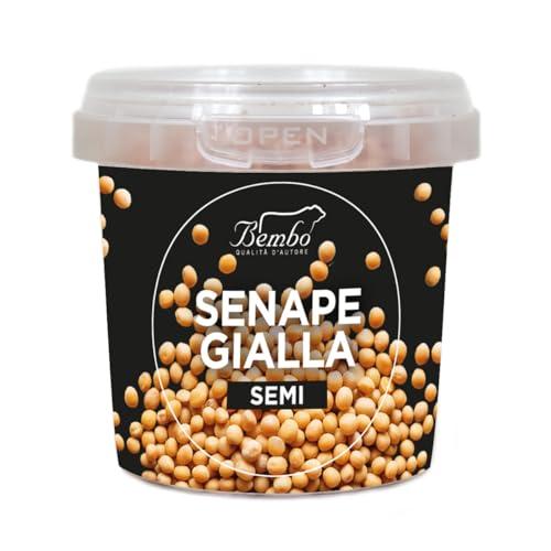 Semi di Senape Gialla Bembo 100g