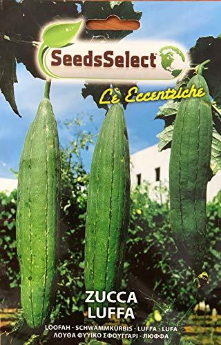Semi di Zucca Luffa Cylindrica: La Tua Spugna Vegetale Fatta in Casa