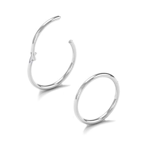 AceFun 2 Pezzi Anello Naso Argento 20G - Cerchio Segmento Cerniera Acciaio Inox 7mm per Piercing Multipli