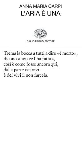 L'aria è una