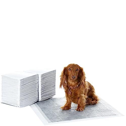 Amazon Basics Tappetini al Carbone per Cani - Standard, 80 Pezzi