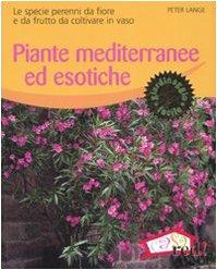 Piante Mediterranee ed Esotiche: Guida alla coltivazione in vaso