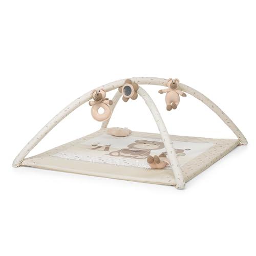 Foppapedretti Trainer Palestrina Augh