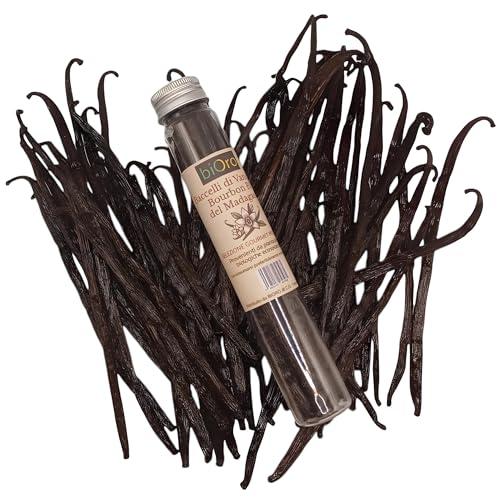 Vaniglia Bourbon del Madagascar BIORO - 10 Baccelli Extra Grandi Gourmet (16-18cm)