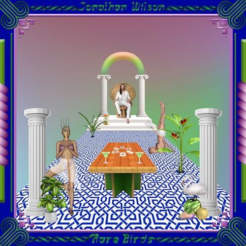 Rare Birds - Jonathan Wilson