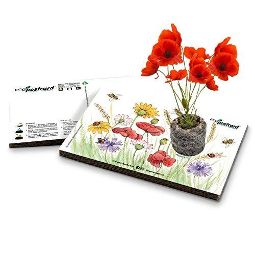 Eco-Postcard | Regalo ecologico con semi di Papavero | Biglietto d'auguri crescita pianta di Papavero