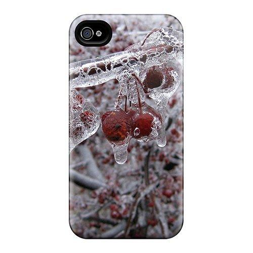 Hang In Ruins: Live In Montreal 1981 - Fm Broadcast