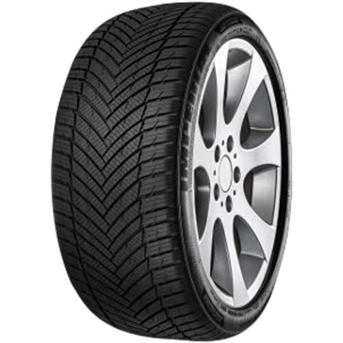 Pneumatici IMPERIAL FS AS DRIVER 195/55 R16 91V XL All Season