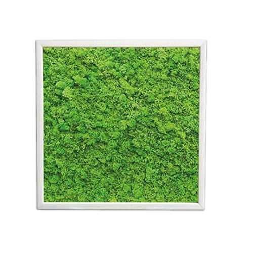 Quadro di Muschio Stabilizzato Verde Prato 70x70 cm - Un Tocco di Natura Senza Manutenzione
