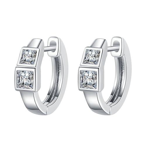 Orecchini Lobo Argento 925 con Zirconi Colorati a Cerchio