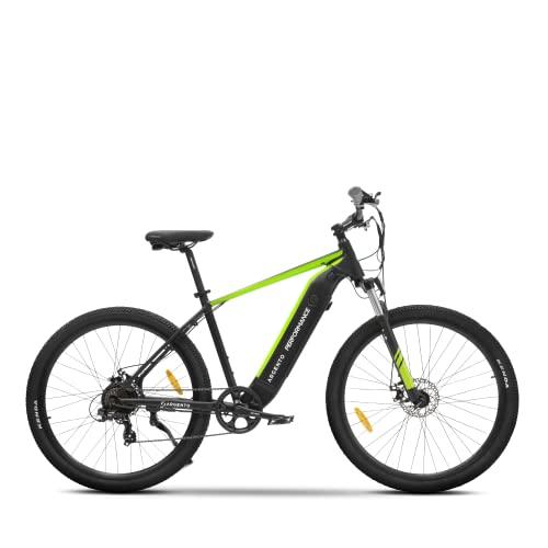 Argento Performance Mountain e-bike