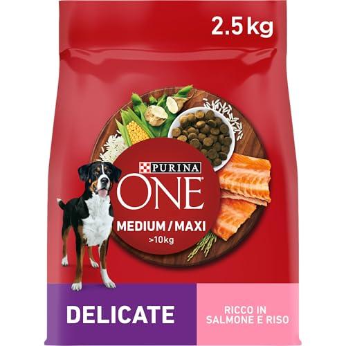 PURINA ONE Medium Maxi Adult Salmone e Riso - 10kg