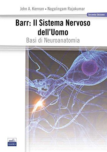 Barr. Il sistema nervoso dell'uomo. Basi di neuroanatomia