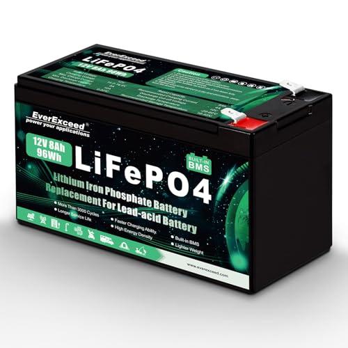EverExceed Batteria LiFePO4 12V 8Ah per molteplici applicazioni