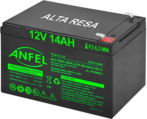 Batteria AGM 12V 14Ah per molteplici applicazioni
