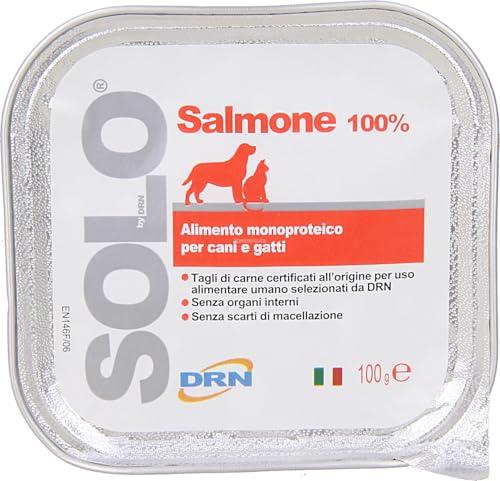 DRN SOLO SALMONE 100 gr - CONFEZIONE DA 32