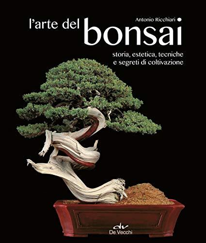 L'arte del bonsai: storia, estetica, tecniche e segreti di coltivazione