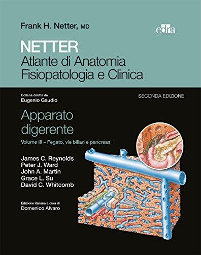 NETTER Atlante di anatomia fisiopatologia e clinica: Apparato digerente 3: Fegato,vie biliari e pancreas (NETTER Atlante di Anatomia Fisiopatologica e Clinica Vol. 14)