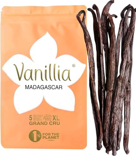 Vanillia - 5 Baccelli XL di Vaniglia Bourbon del Madagascar - Grand Cru 2025