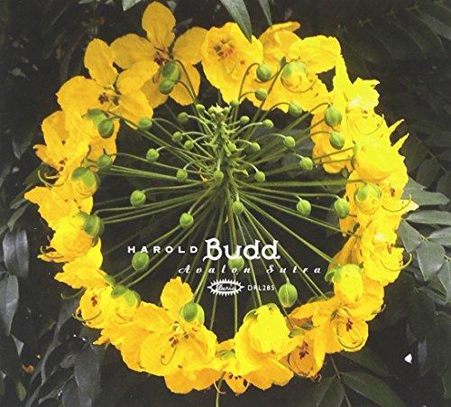 Avalon Sutra - Musiche Eteree per un Viaggio Interiore