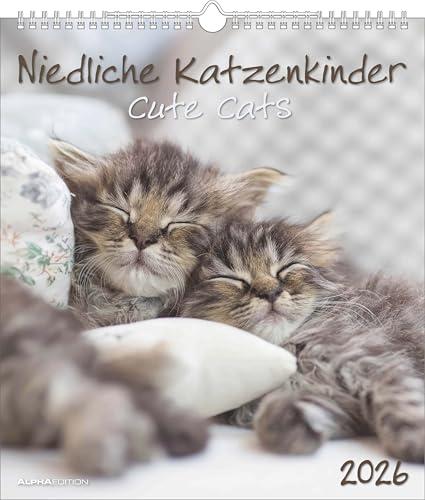 Niedliche Katzenkinder 2026 - Wand-Kalender: Un Anno di Adorabili Gattini
