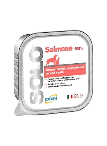 Drn Solo Salmone Gr 100