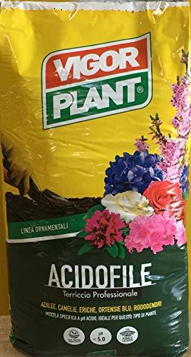 Vigorplant Terriccio Completo per Piante Acidofile 70 Litri