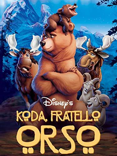 Koda Fratello Orso