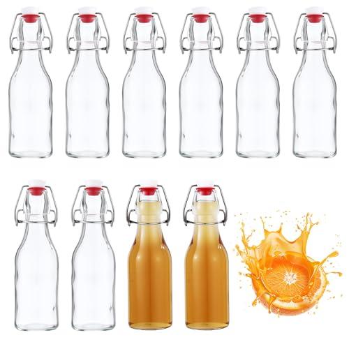 Nuangoo Set da 10 Bottiglie in Vetro da 250ml con Tappo Ermetico
