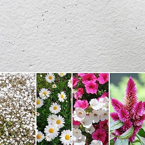 Eco-Card® Carta Ecologica con Semi MIX FIORI, Biodegradabile, Piantabile, Formato A4, 150gr (10 Fogli)