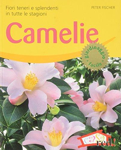 Camelie. Fiori teneri e splendenti in tutte le stagioni. Ediz. illustrata