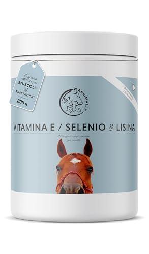 Annimally Selen, Vitamina E, L-Lisina in Polvere per Cavalli 800g