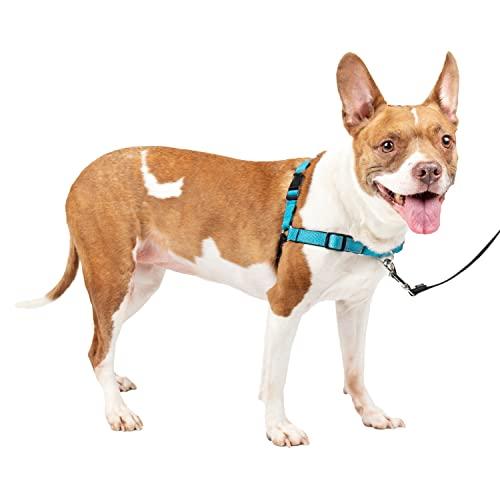 PetSafe Easy Walk Deluxe Pettorina per Cani Media Blu Oceano