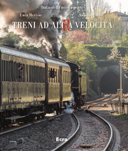 Treni ad alta velocità. Ediz. illustrata