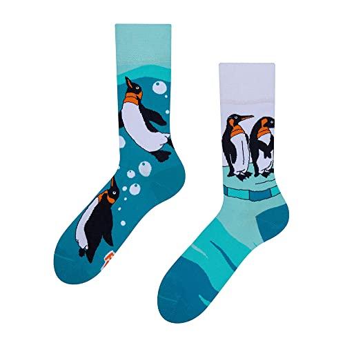 Dedoles Calzini Unisex Pinguini Blu Taglia 39-42
