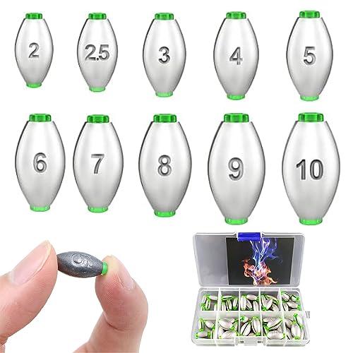 Set di 50 Pesi da Pesca Rimovibili (2g-10g)