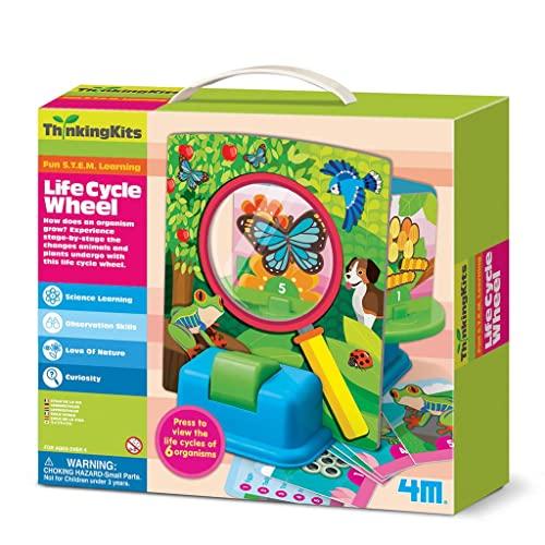 4 m Ciclo di Vita Kit Pensiero