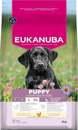 Eukanuba Puppy Large Breed Fresh Chicken 3kg
