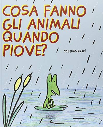 Cosa fanno gli animali quando piove?