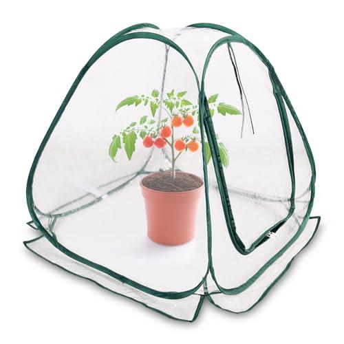 Mini serra pop-up, 60 x 60 cm, piccola serra per verdure, fiori e funghi, tenda per svernamento in PVC trasparente, per piante, non necessita di montaggio