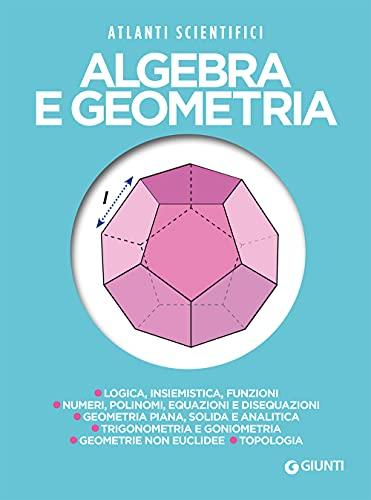 Algebra e geometria - Guida Essenziale per Studenti e Appassionati